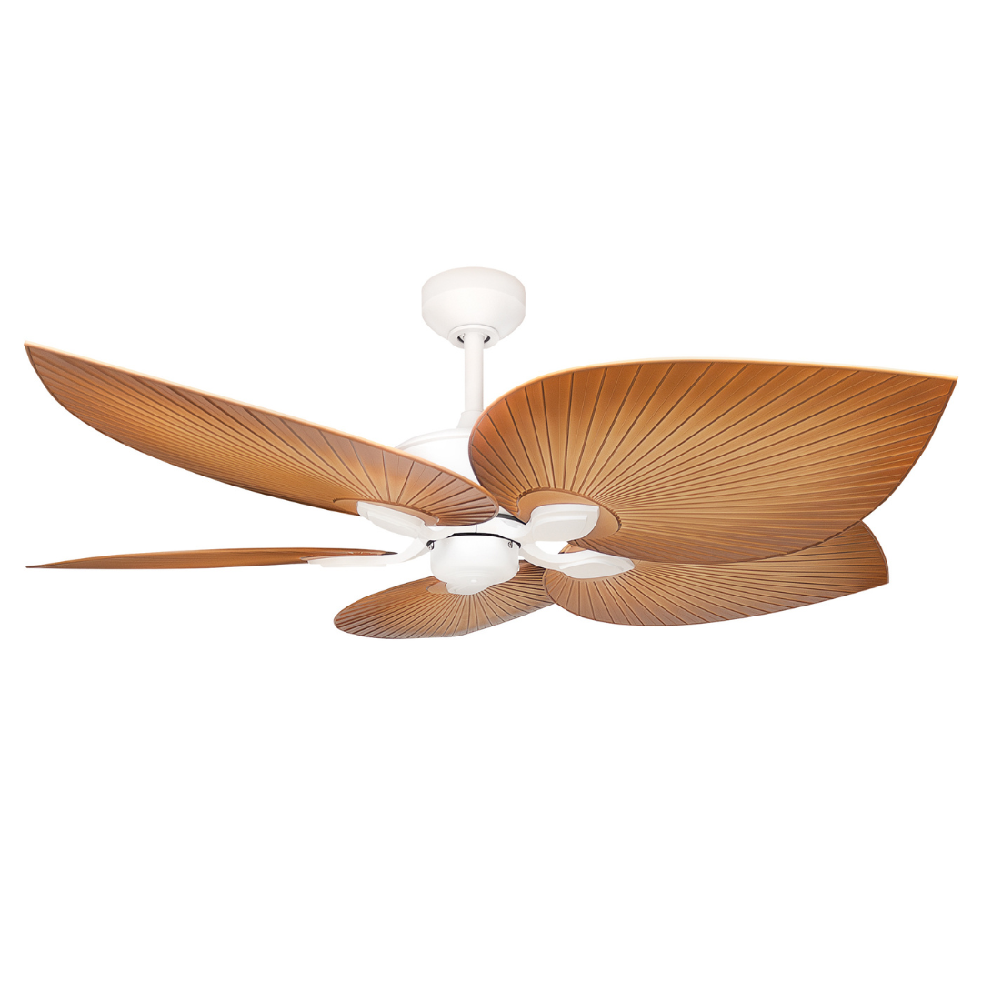 Tropicana AC Ceiling Fans 54" (138cm)