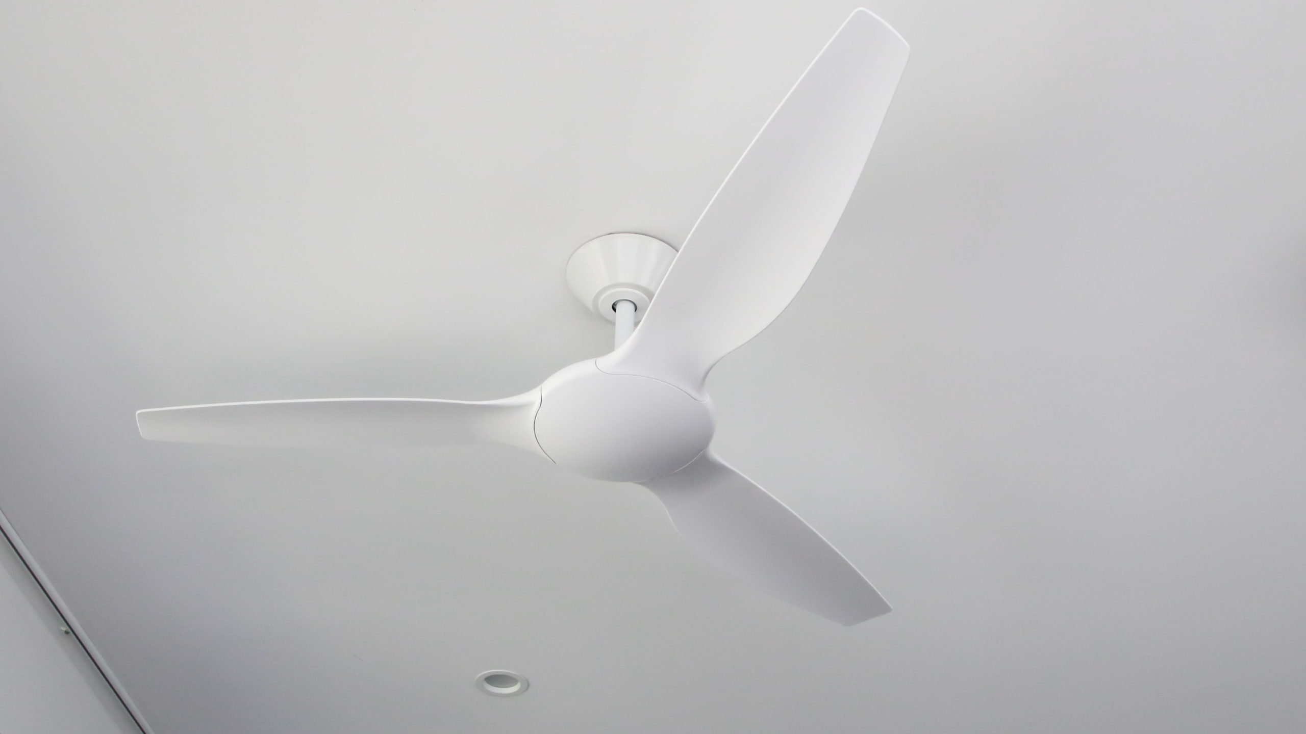 Delta DEL56 Ceiling Fan 16 Wide scaled