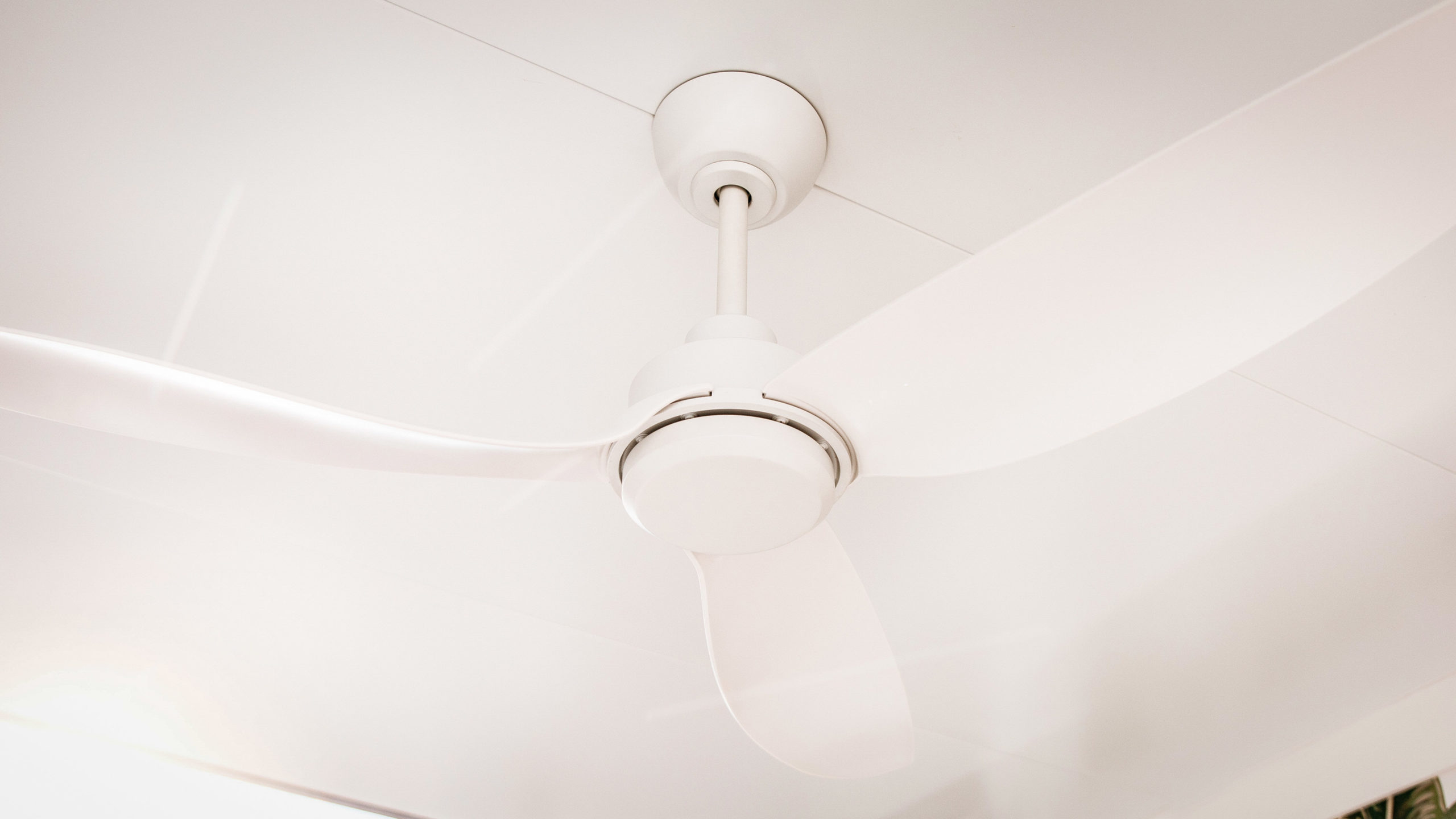 Trintiy TRI56 Ceiling Fan 3 Wide scaled